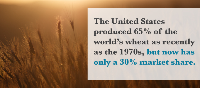 US has 30% of world's wheat market share